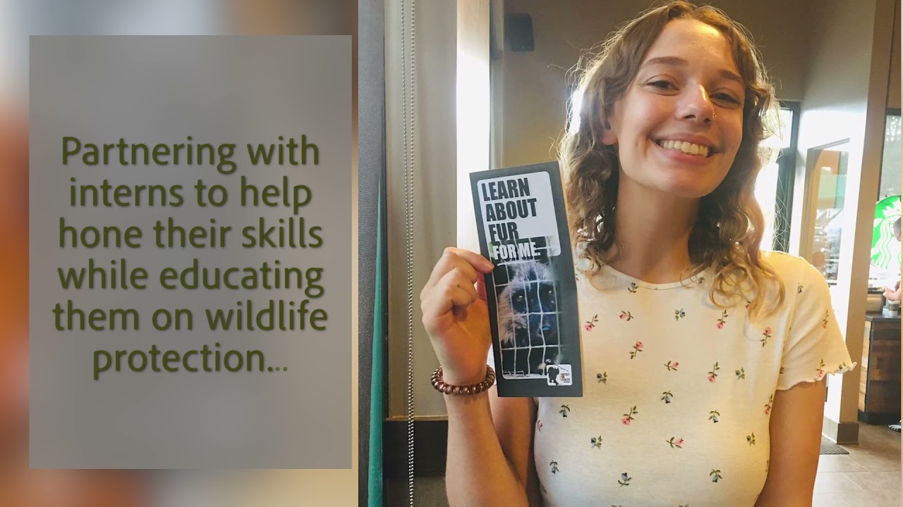 Who is Protect Our Wildlife?