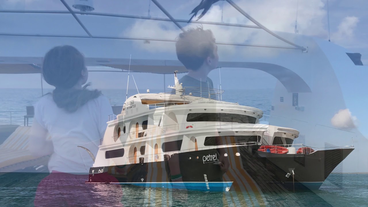 Galapagos Cruise - M/C Petrel Luxury Catamaran