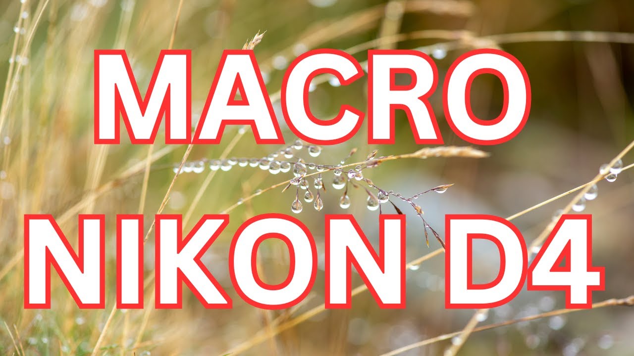 Caught These Amazing MACRO Shots With My Nikon D4 And 105mm Lens!