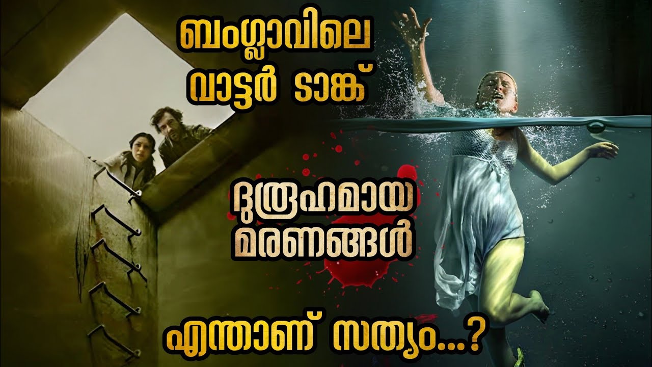 അച്ഛന്റെയും അനിയത്തിയുടെയും ദുരൂഹമരണം ഇതൊന്നും അറിയാതെ അവൻ വരുന്നു @malluexplainer185