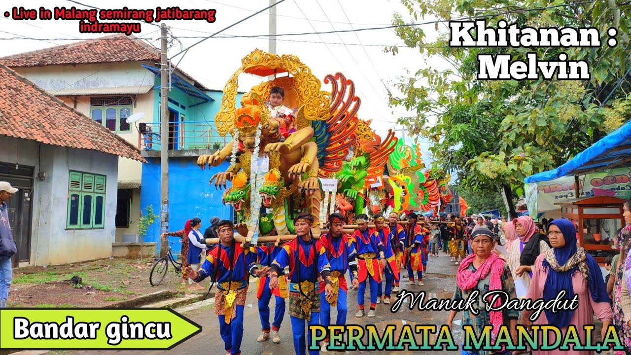 Bandar gincu [ permata mandala ] Live Semirang jatibarang INDRAMAYU 2022