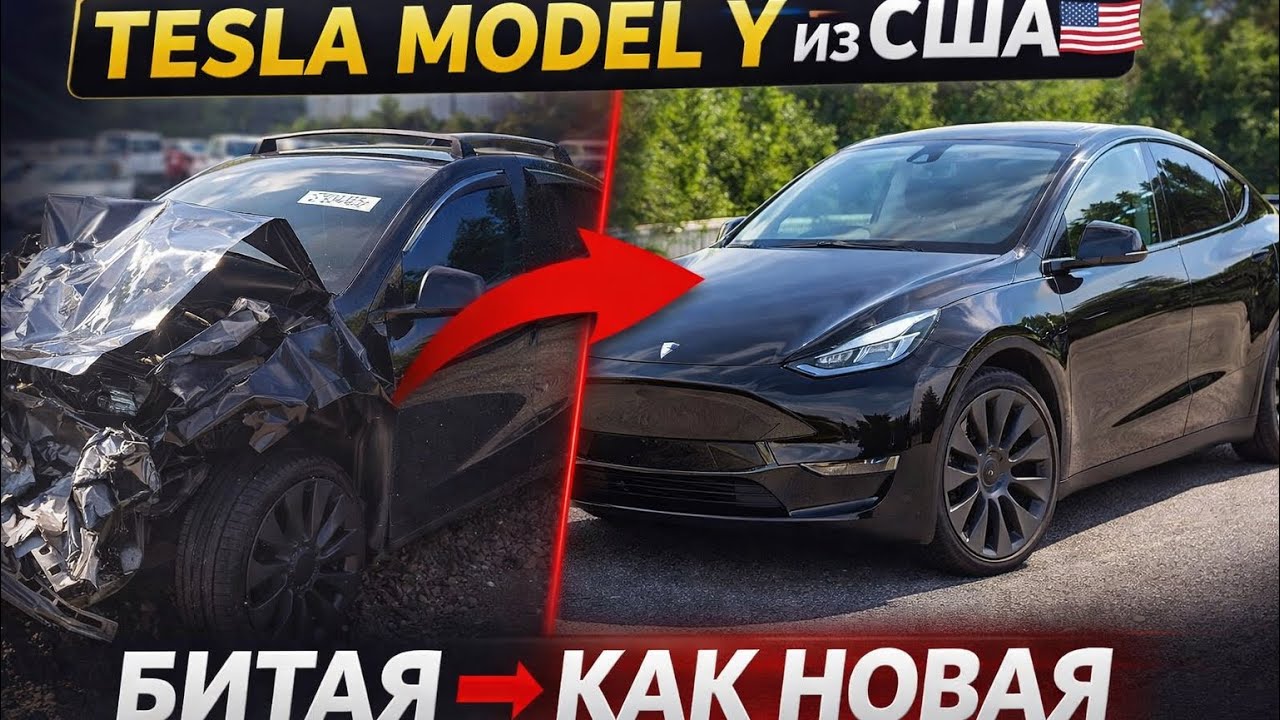 Tesla Model Y из США — выиграли на аукционе, доставили и восстановили