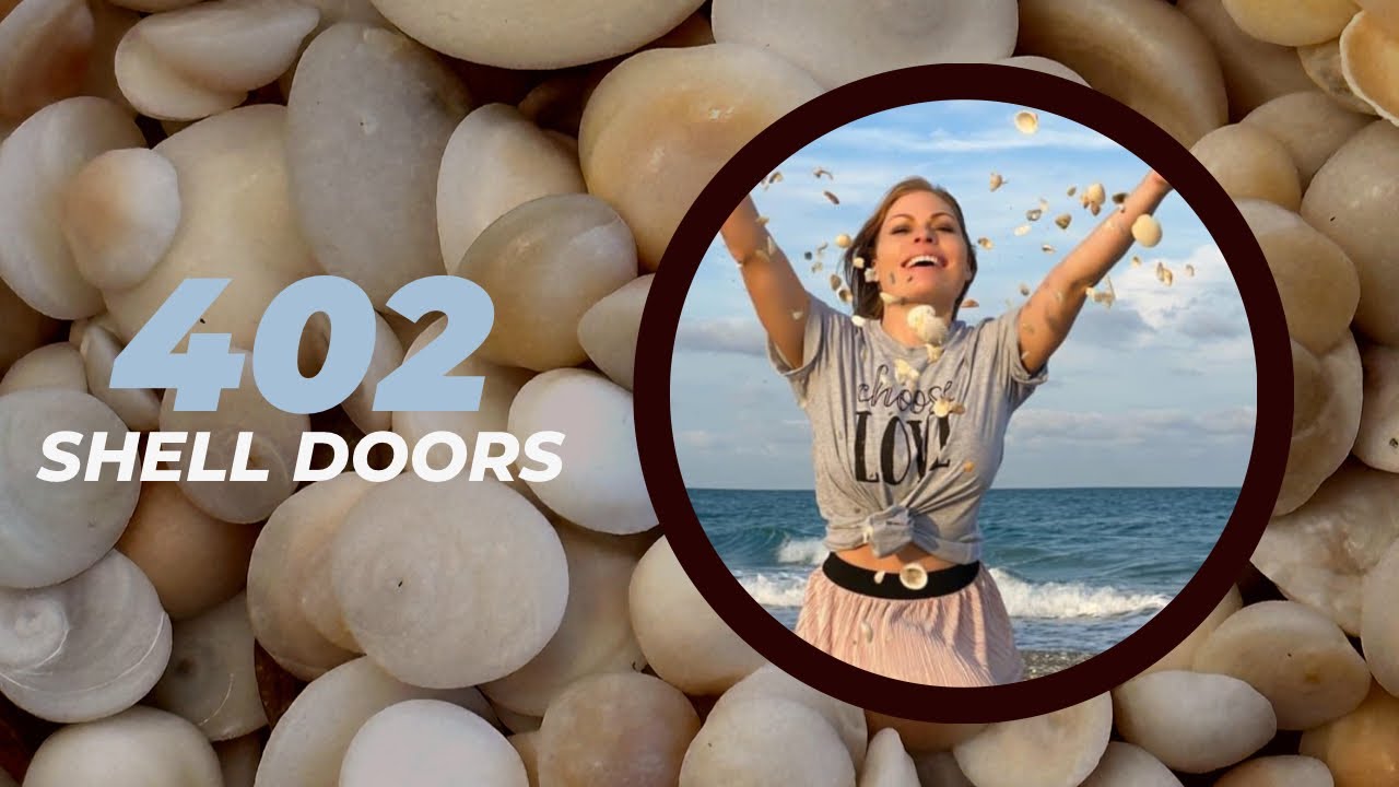 Everyone loves a good shell door. Here's where & how to find these tiny things   #floridashelling