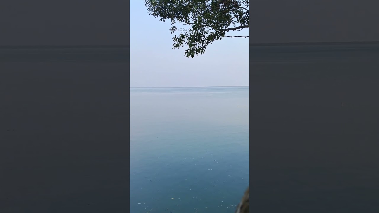 Kolkata to kaikhali by Road in Ntorq 