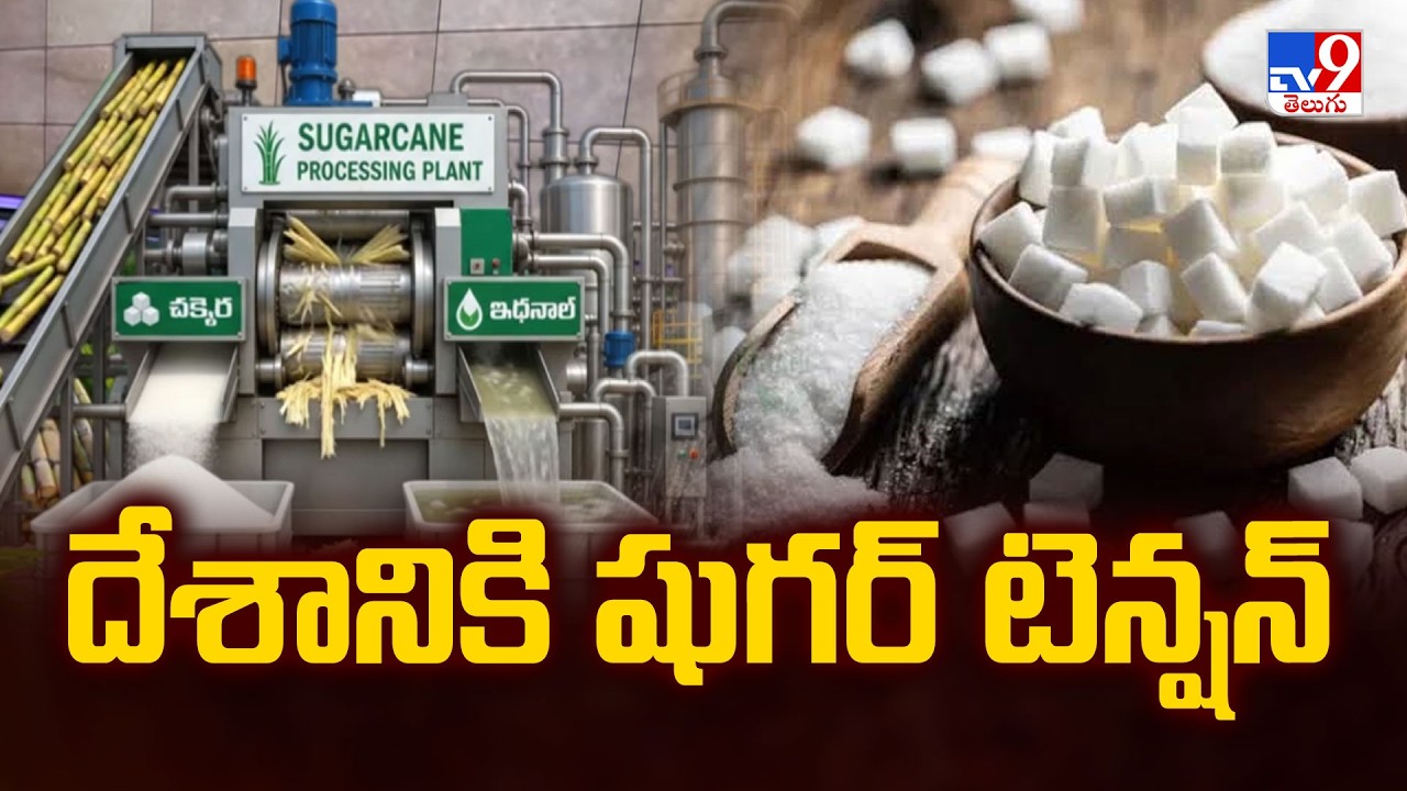 India Faces Sugar Crisis: దేశానికి షుగర్ టెన్షన్ - TV9