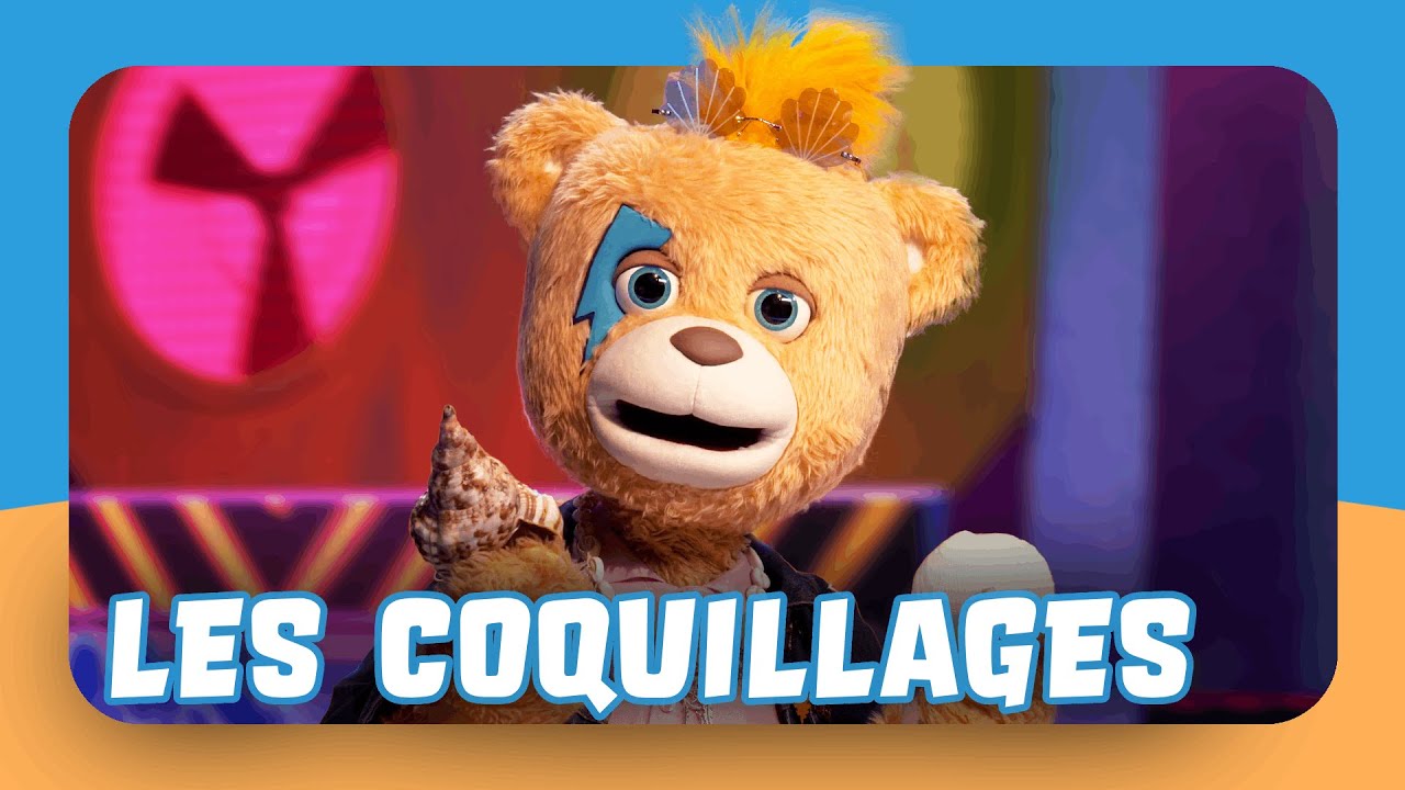 Les coquillages les plus FOUS de la nature ! 🐚😱 • C'est dans la boîte — Rocky et Lily