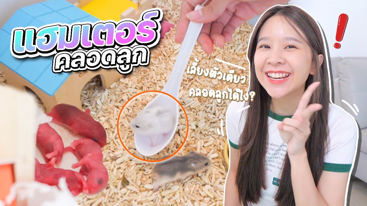 คลอดลูกแล้วว !! ต้อนรับสมาชิกใหม่..เตรียมตัวเป็นคุณแม่ลูก 4 !!