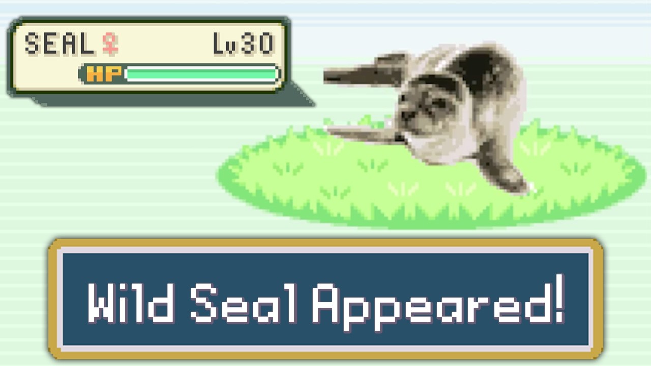 When you think this Pokemon Game couldn't get more stupid...