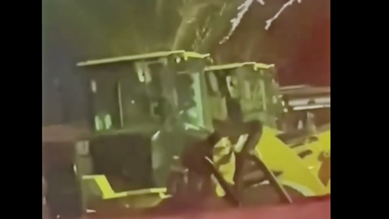 Las Vegas Backyard Aliens Stabilized
