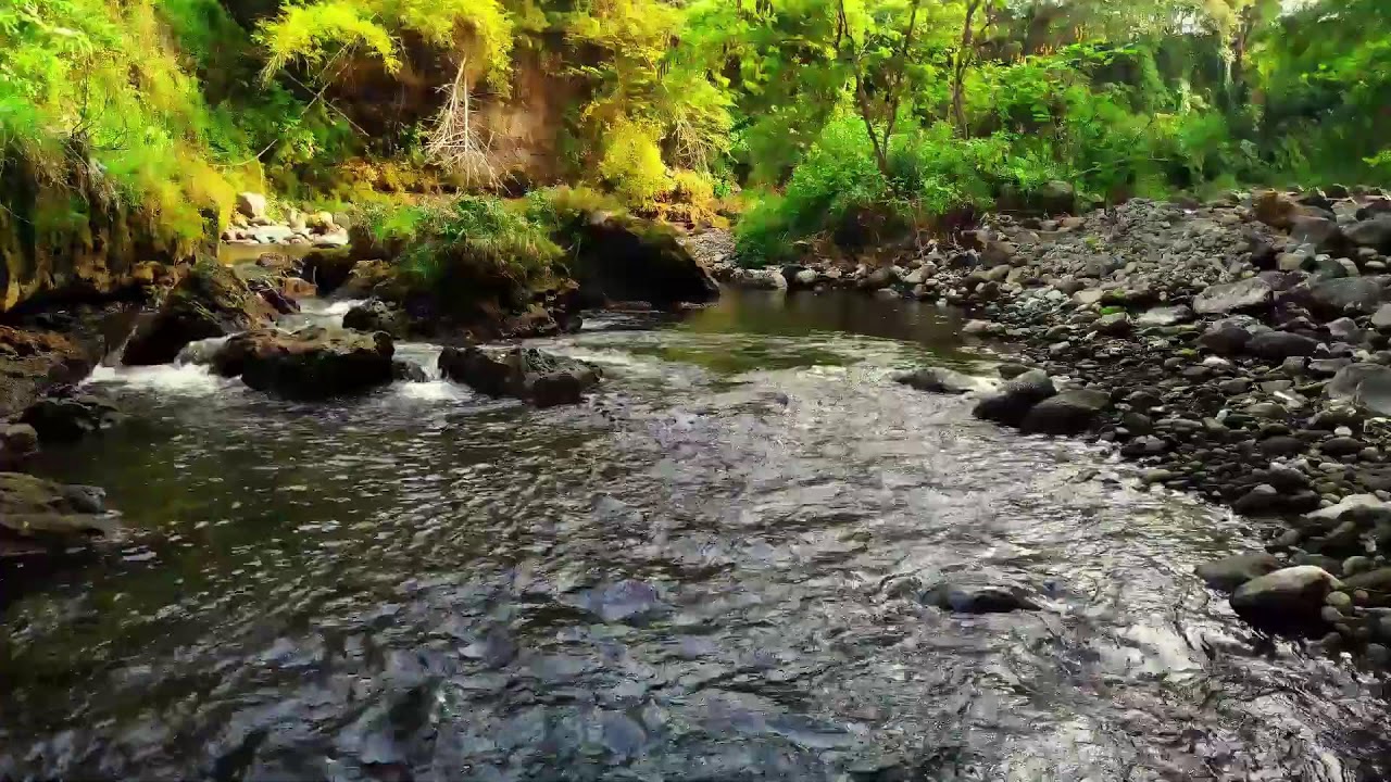 Healing River Ambience for Stress Relief, Relaxation and Deep Sleeping