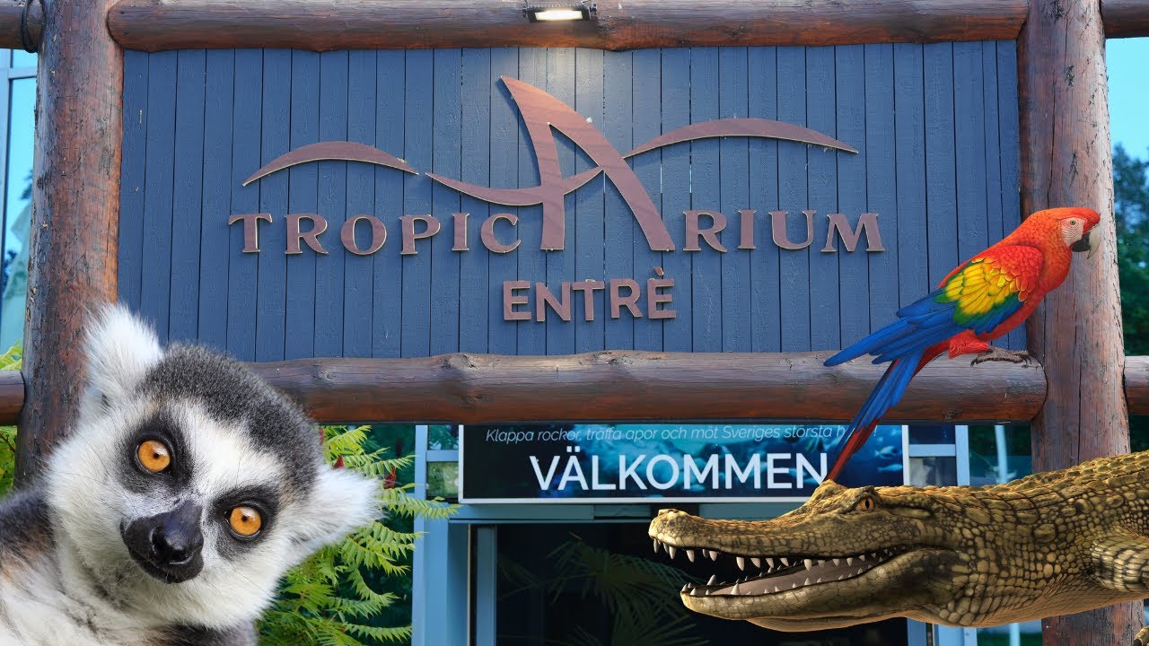 Tropicarium Kolmården! Maya and Filip