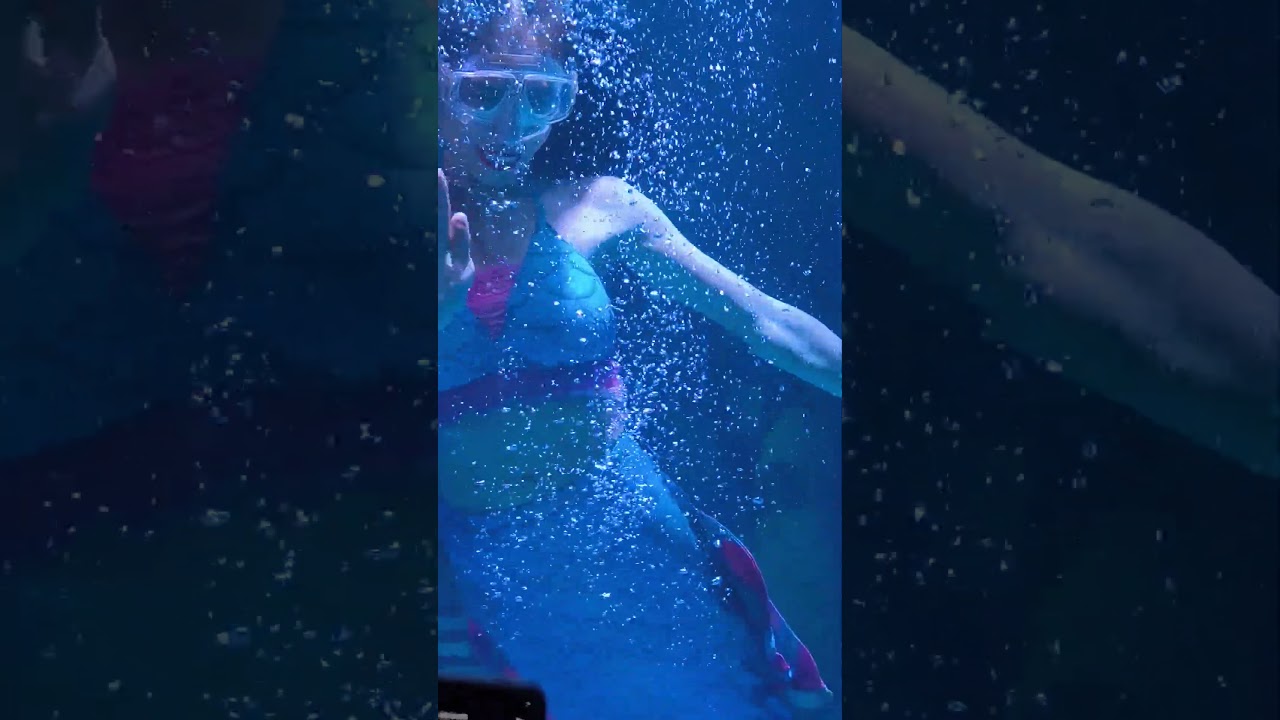 mermaid🧜
