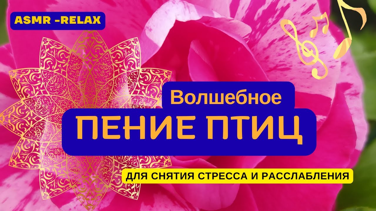 Пение птиц в саду - ASMR терапия для души и хорошего настроения