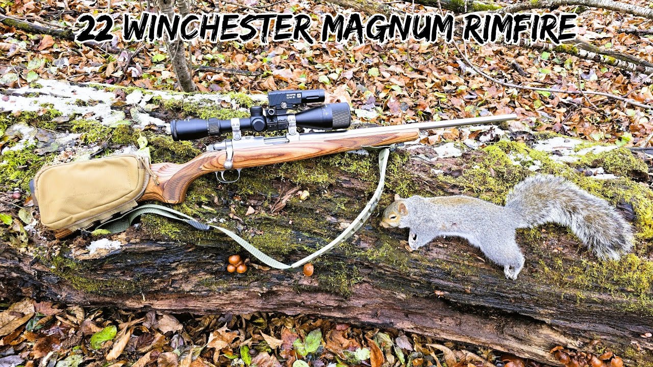 Охота на белку в ветреный день с 22 WMR