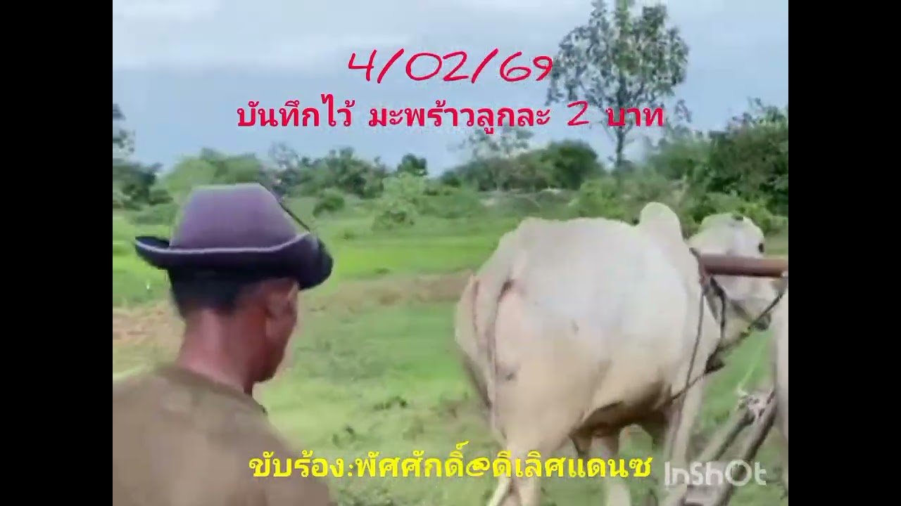 มะพร้าวลูกละ 2 บาท: พัศศักดิ์@ดีเลิศแดนซ์