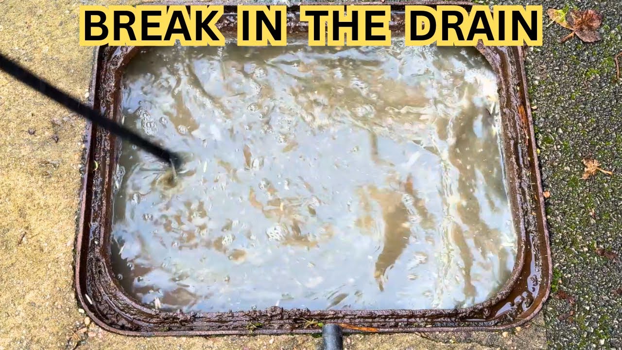 Blocked Drain Uncovers Hidden Disaster