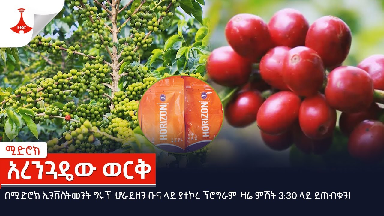 ሚድሮክ |  አረንጓዴው ወርቅ|  MIDROC Investment Group Etv | Ethiopia | News #NewsEtv | Ethiopia | News