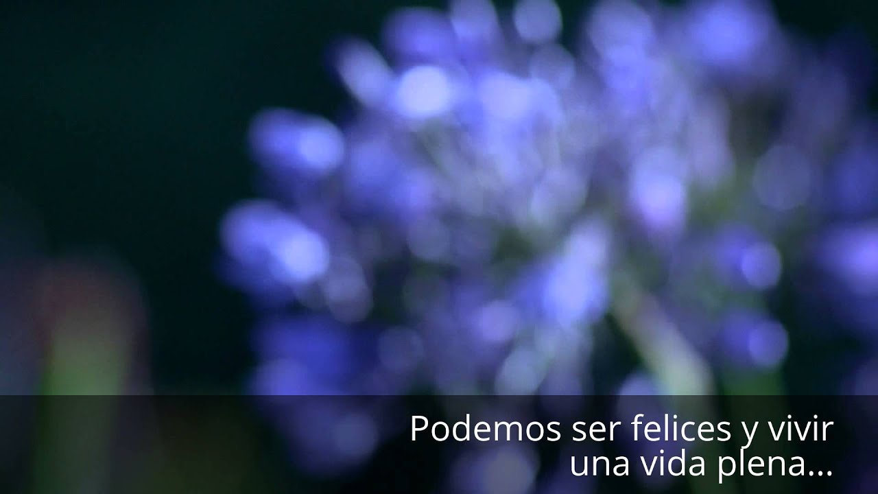 La ley del Prop&oacute;sito- N.C. Kurt - www.nckurt.com