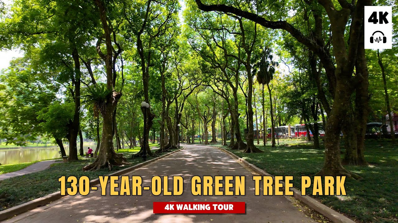 Walk in the Botanical Gardens - The place is known as the long-standing "green lung" of Hanoi [4K]
