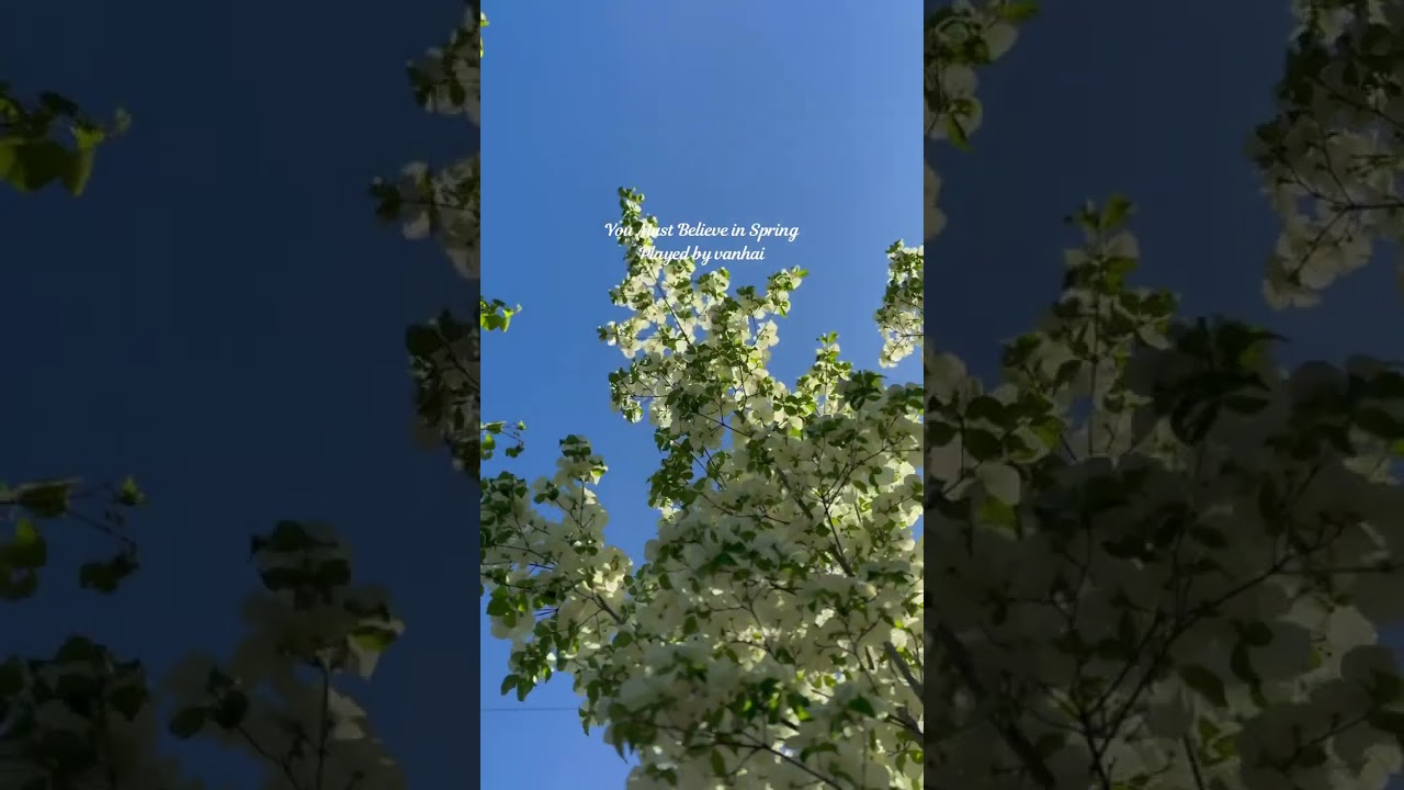 vanhai - You Must Believe In Spring