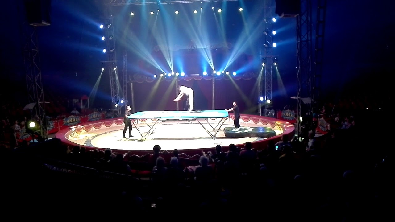 Le cirque de france Amar 2017(2)