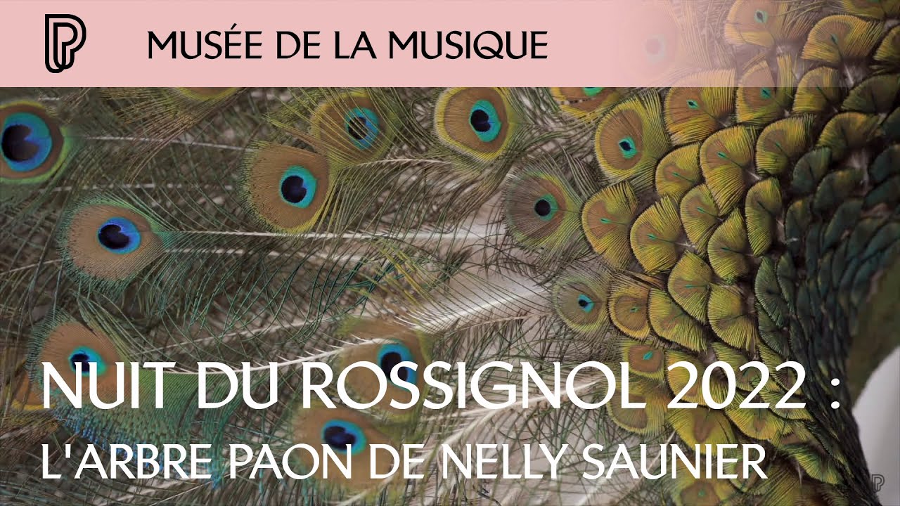Nuit du rossignol 2022 : l'arbre paon de Nelly Saunier