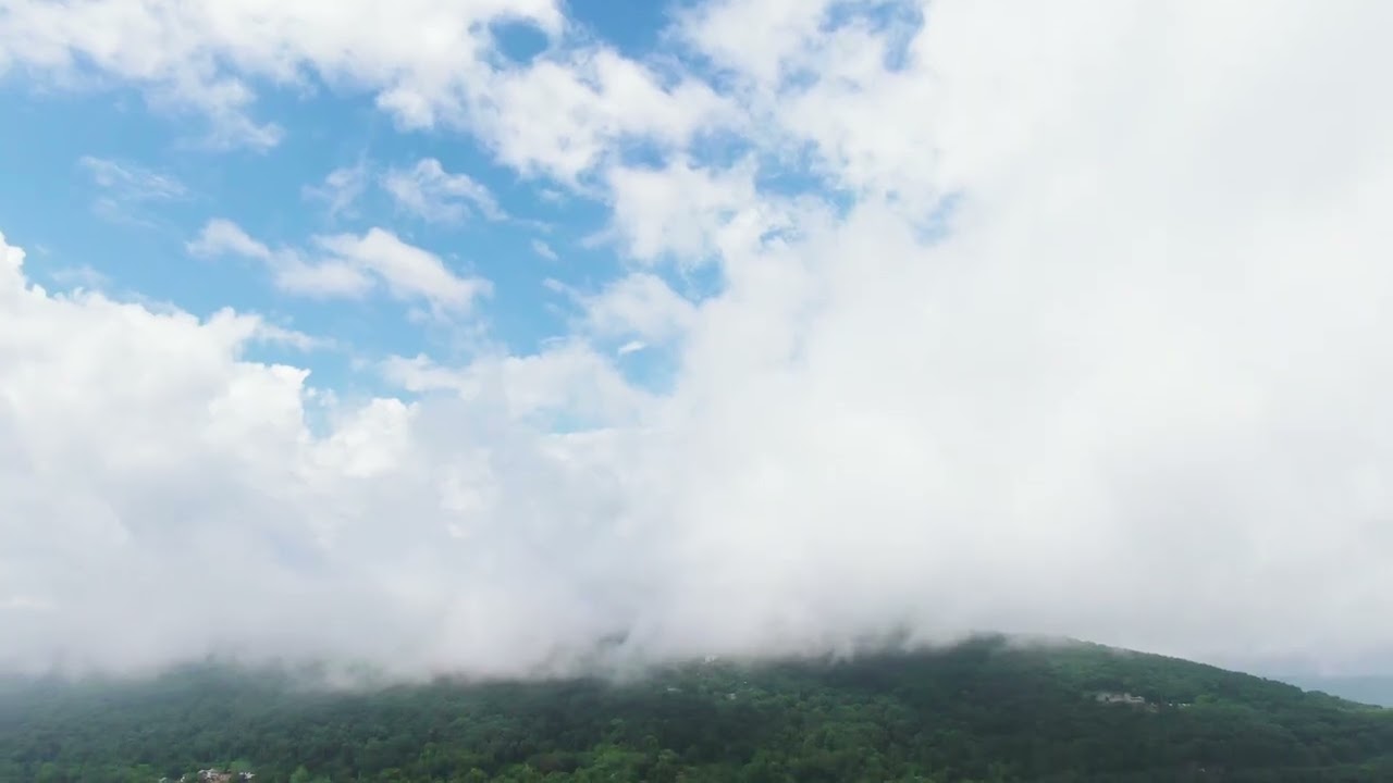 2453852 uhd 2560 1440 24fps