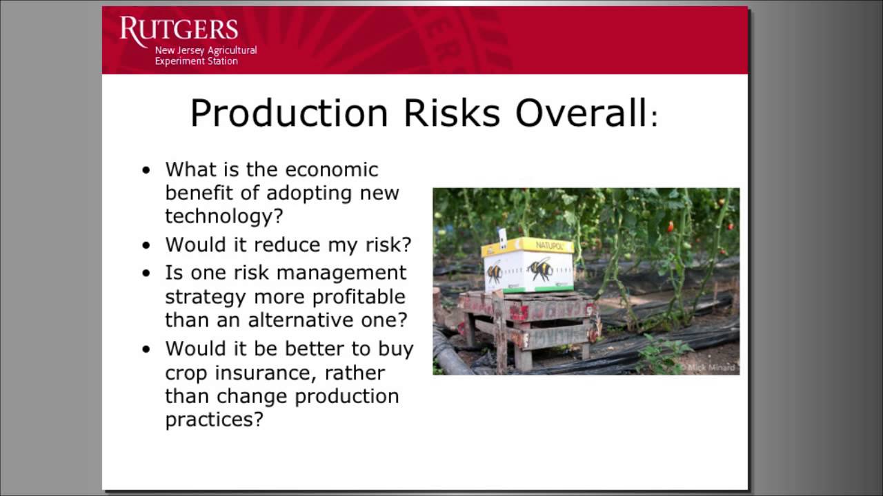 Production Risk