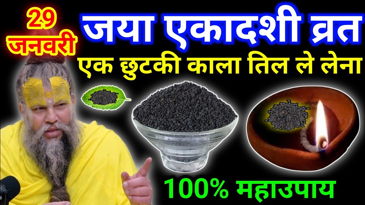 29 जनवरी माघ गुरुवार जया एकादशी तिथि को 1 छुटकी काले तिल वाला उपाय जरूर करे || premanand ji maharaj
