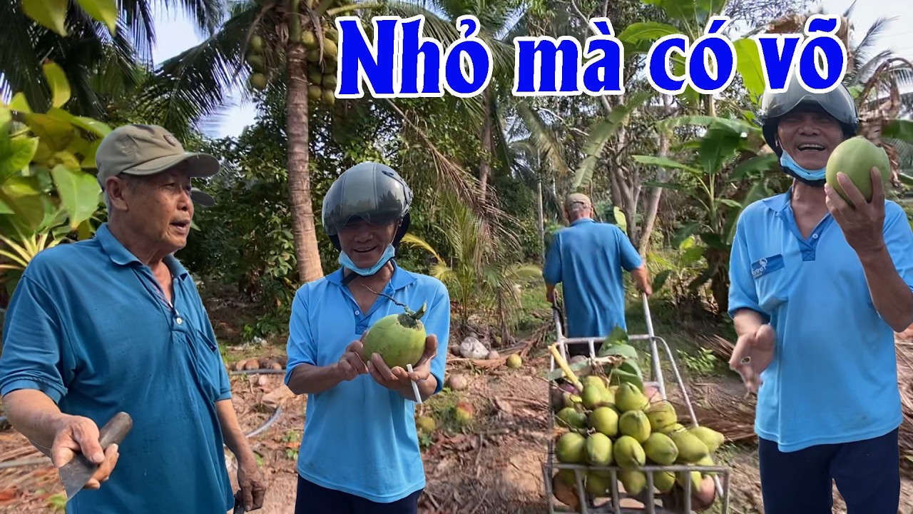Được cho trái dừa anh hàng xóm hớn hở khen dừa ngọt | Góc Miền Tây #601