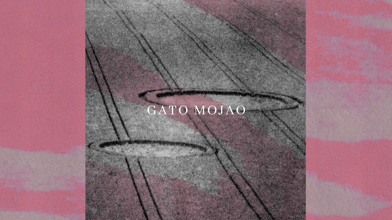 Protistas - Gato mojao (audio oficial)