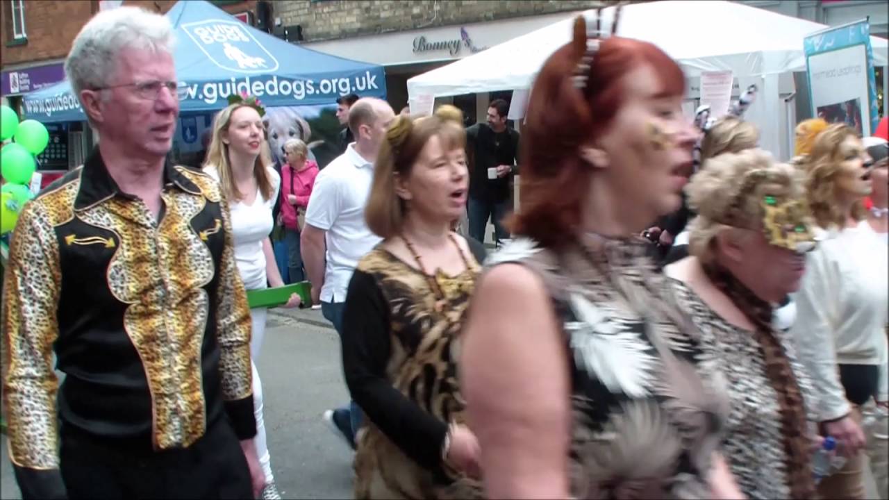 Buntingford Carnival 18 June 2016
