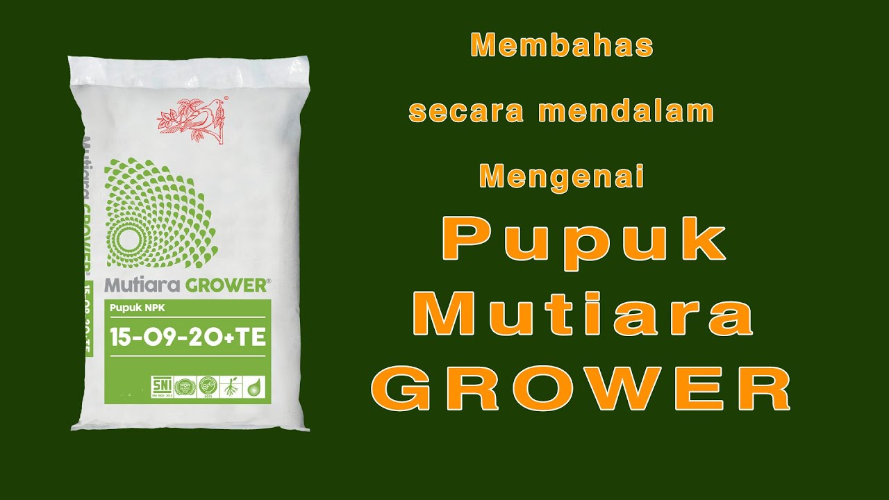 Pupuk Grower - Membahas secara mendalam.