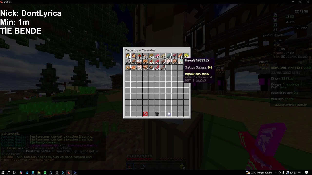 KARPUZDAYIZ ---- Craftrise Ametist
