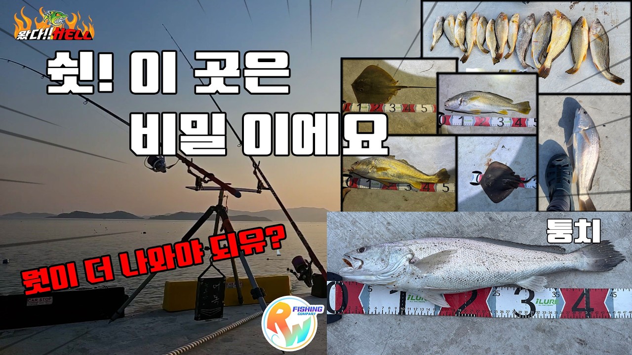 이 원투낚시 포인트는 우리만 알자고요~ 원투낚시 지금까지 이런 포인트는 없었다! 구독자분들의 인증 사진까지! 여름 원투낚시 최고의 포인트  [왔다Hell]