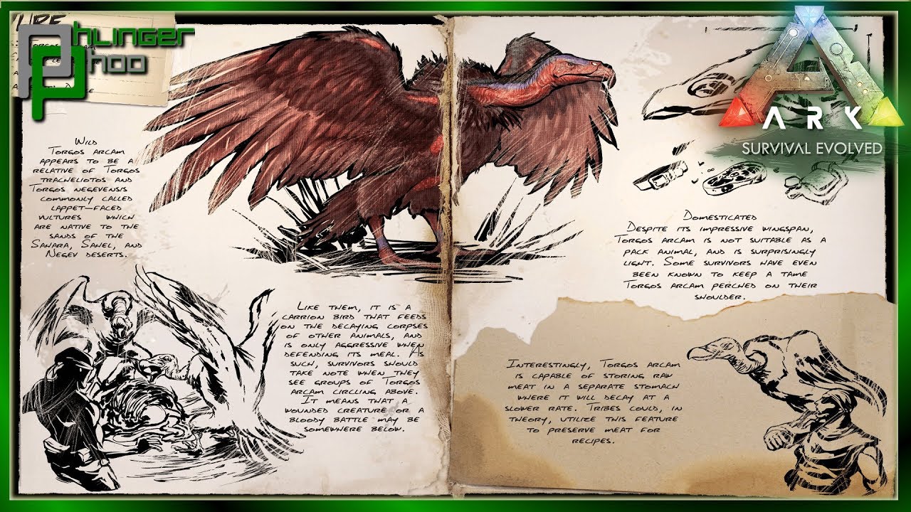 Ark Basics Vulture - THE TERRORS OF THE DESERT ARE ACTUALLY PRETTY COOL