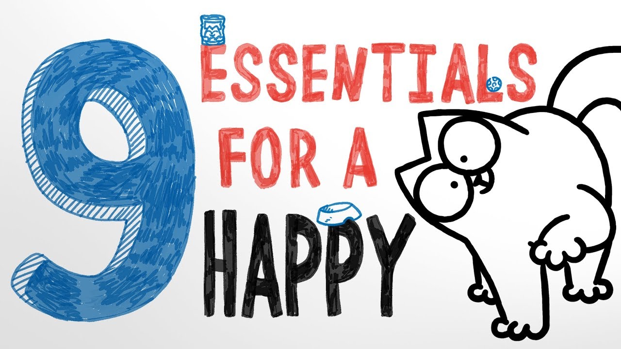 9 Essentials for a Happy Cat! - Simon's Cat | COLLECTION
