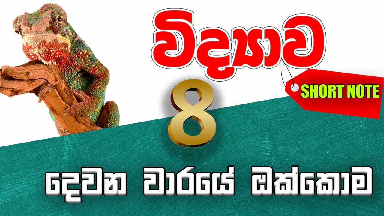 8 ශ්‍රේණිය විද්‍යාව දෙවන වාර කෙටි සටහන් විග්‍රහය - Grade 8 Science Short Note | Grade 8 Science 📬📚