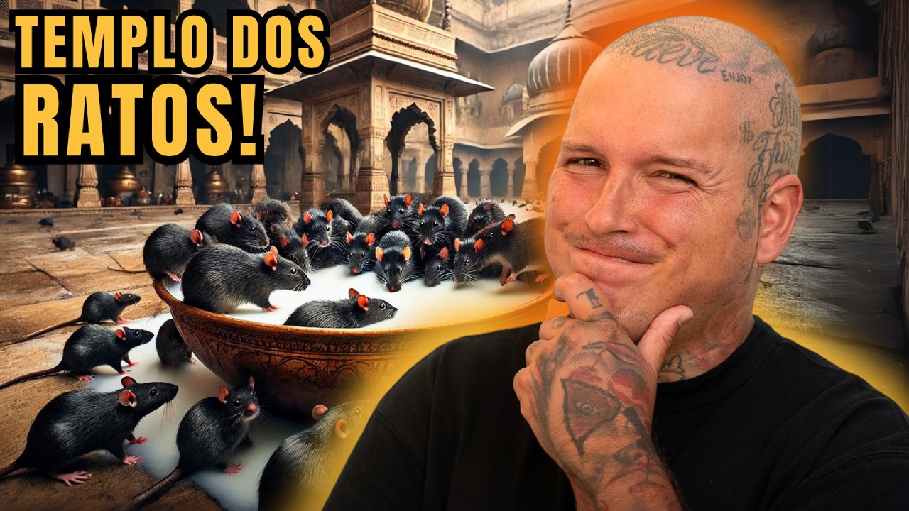 VISITEI O TEMPLO DOS RATOS NA &Iacute;NDIA! 🇮🇳🐀 AQUI ELES S&Atilde;O SAGRADOS!