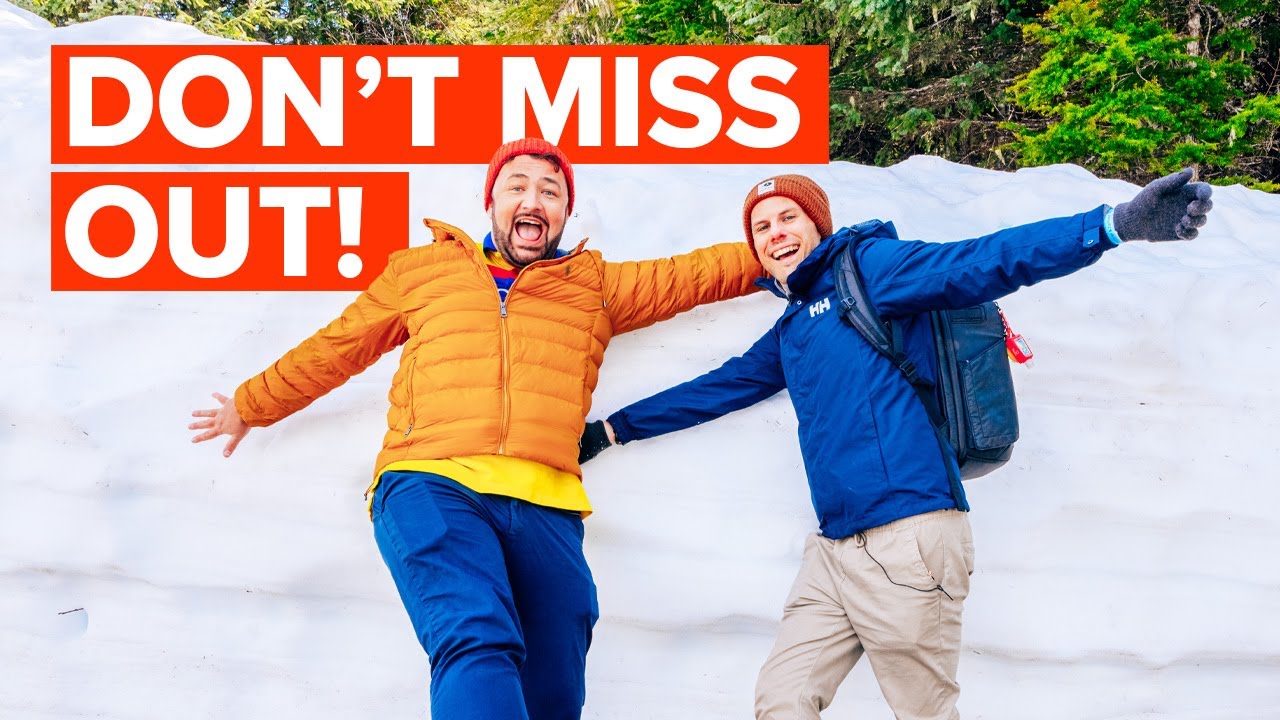 We Cruised Alaska - It’s Not to be Missed