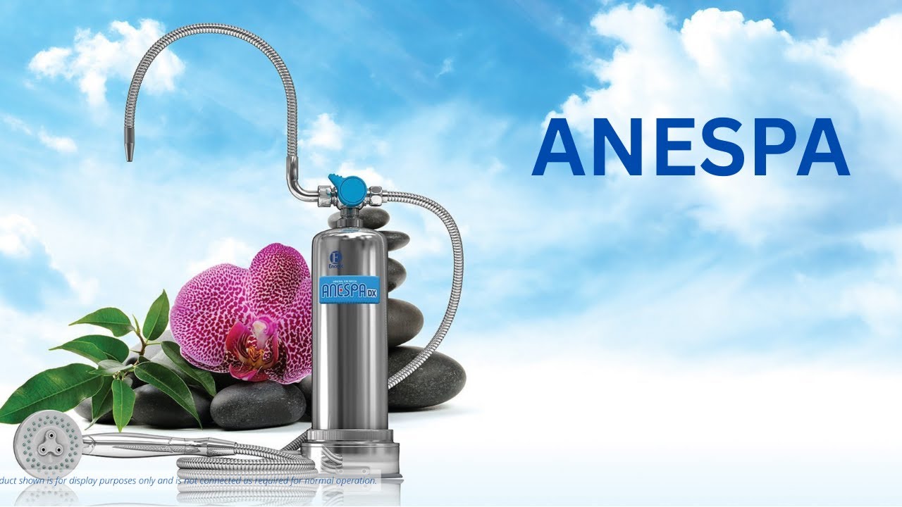 Enagic's Anespa DX