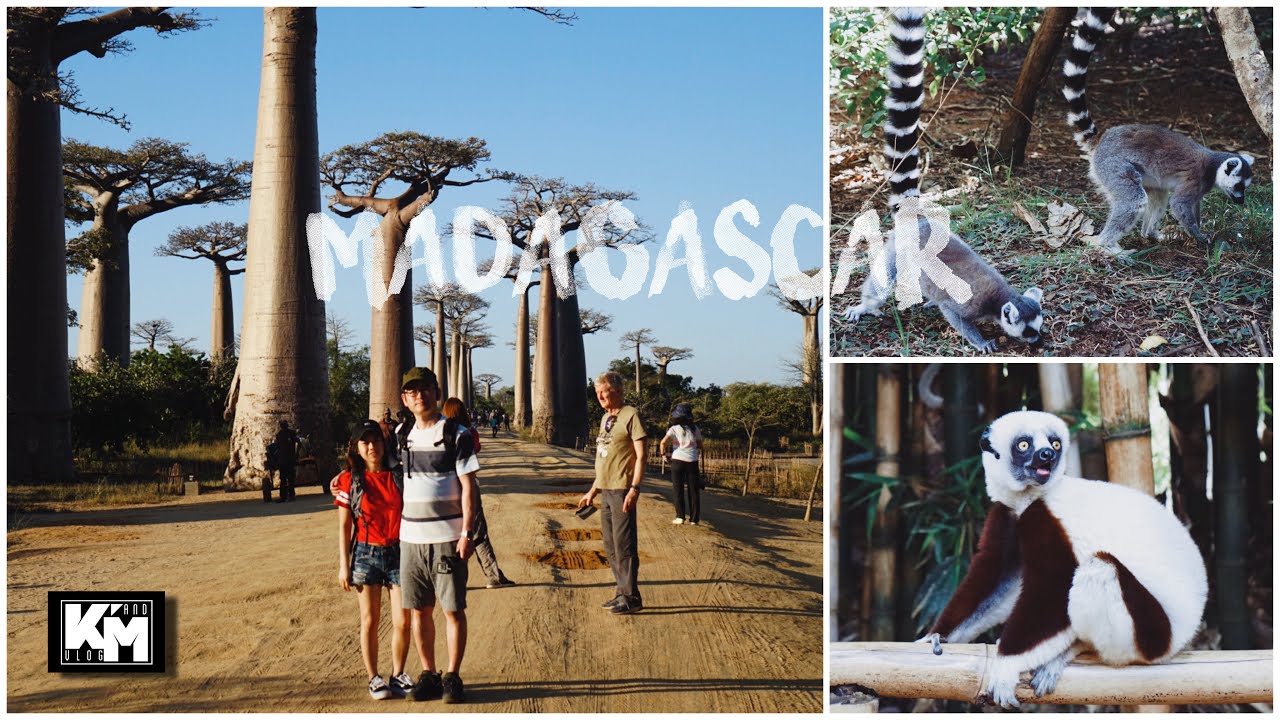 Madagascar || Morondava || Lemur's Park || Baobab treeマダガスカル•モロンダバ•バオバブ Part3