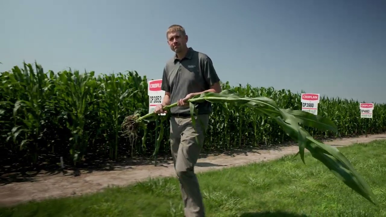 Breaking Down Biologicals: Measuring Success in the Field