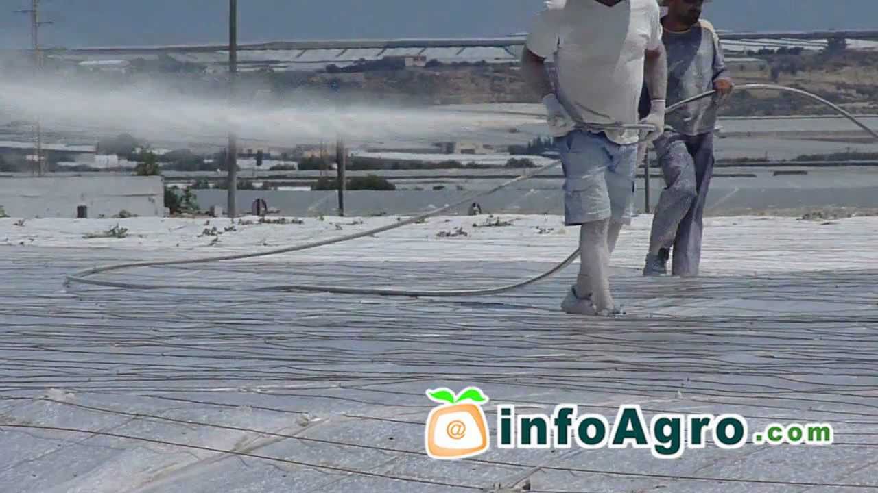 Blanqueo de invernaderos (método de sombreo)
