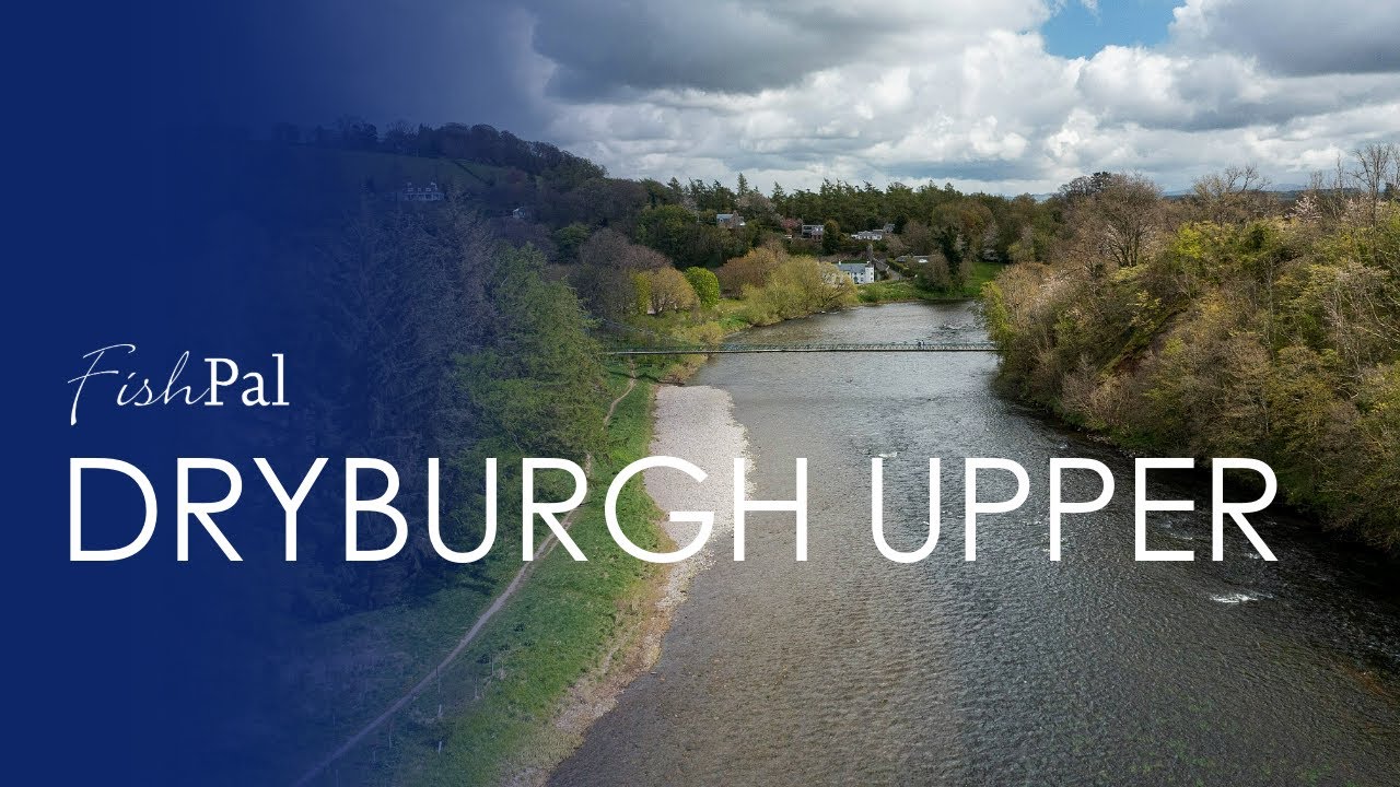 Upper Dryburgh: Salmon Fishing in an Idyllic Setting on Middle Tweed