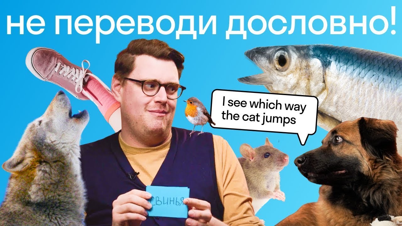 6 странных английских идиом, которые значат совсем не то, что кажется