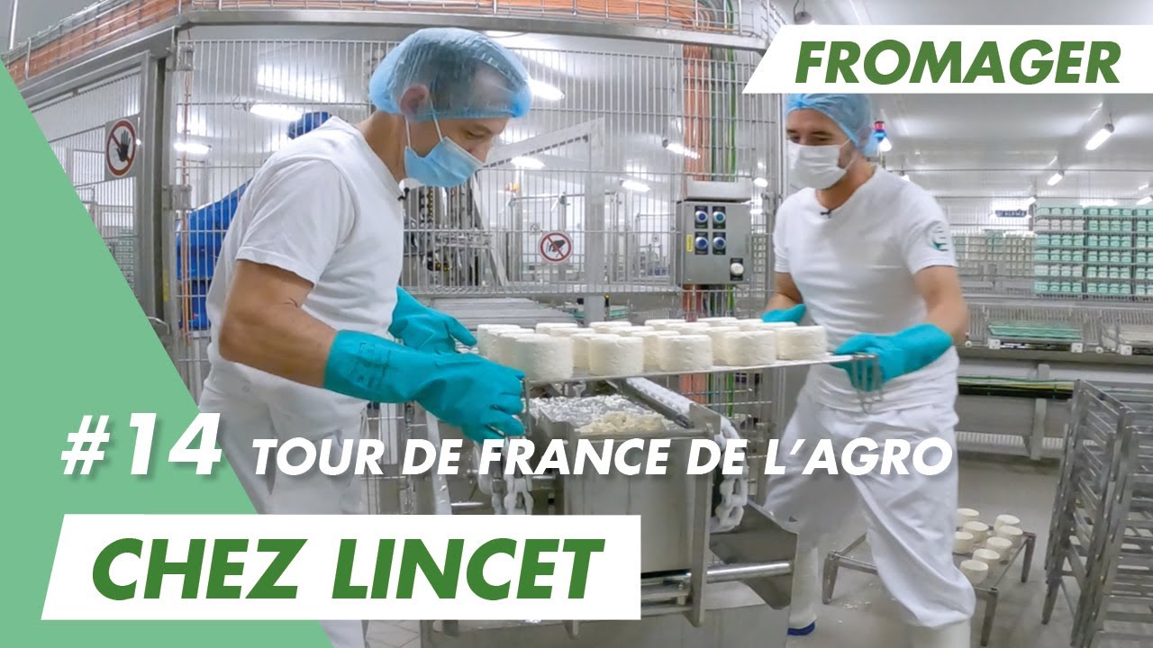 Viens fabriquer le fameux Chaource avec Ludovic, fromager chez Lincet !