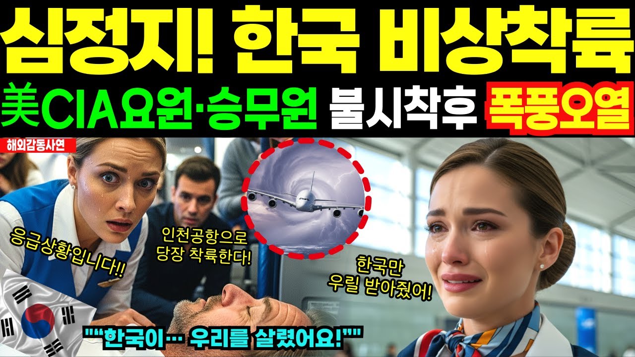 [해외감동사연] 미국 미녀승무원, ‘한국 인천공항 비상착륙!’ 미국 CIA 분석관 심정지, 일본·중국 전부 거절후 그녀가 오열한 충격적 이유!!