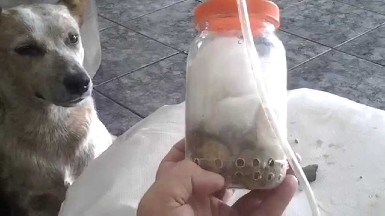 Filtro para aquario com compressor de ar!!!