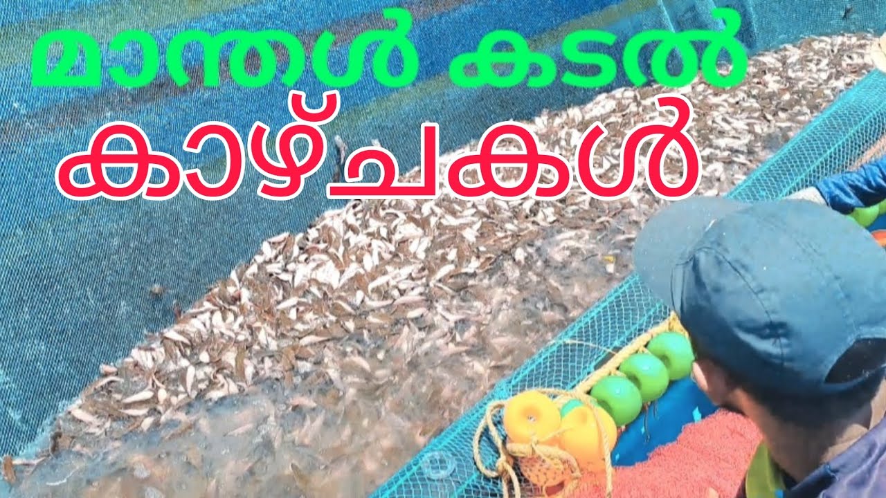 മാന്തൾ അടിപൊളി കടൽ കാഴ്ച 👍🏼